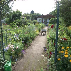 Altersgerechtes Gärtnern -einmal Garten immer Garten     