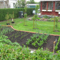 Wird evtl. verschoben! Kleingärtnerische Nutzung aus gartenfachlicher Sicht